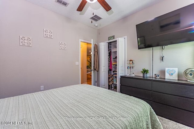 bedroom featuring ceiling fan, a walk in closet, and a closet