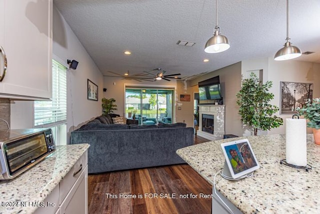 living room with ceiling fan, plenty of natural light, dark wood-type flooring, and a textured ceiling