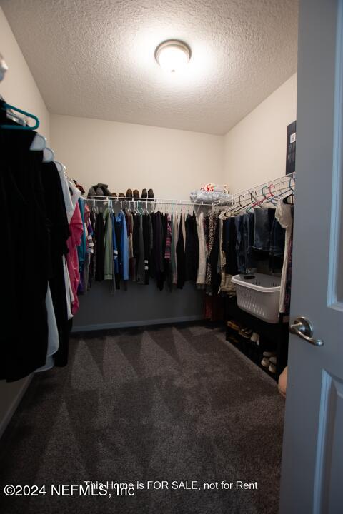 spacious closet with carpet