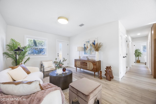 living room featuring light hardwood / wood-style floors