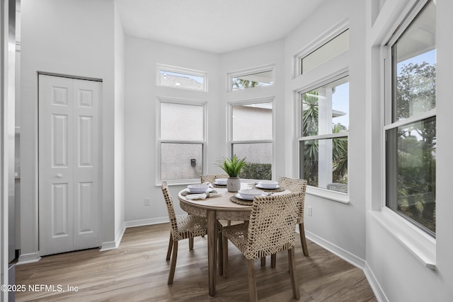 dining room featuring a wealth of natural light and light wood-type flooring