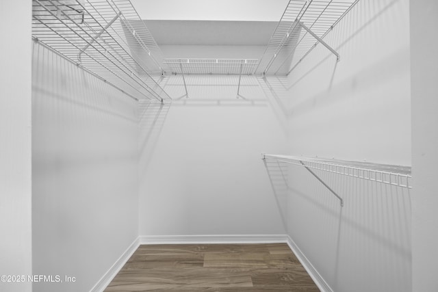 walk in closet with hardwood / wood-style floors