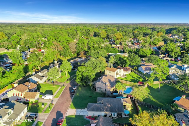 bird's eye view