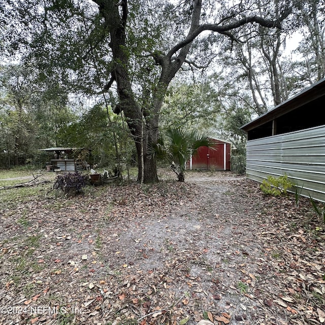 view of yard featuring a storage shed