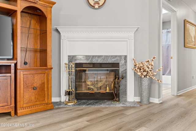 room details with hardwood / wood-style flooring and a premium fireplace