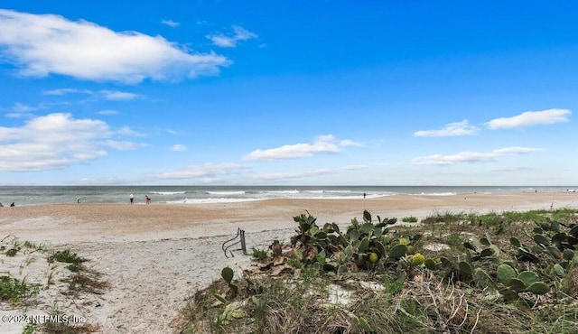 water view featuring a beach view