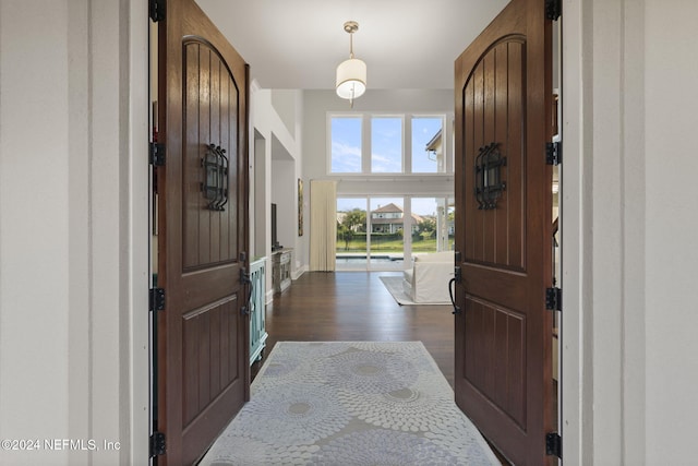 foyer entrance featuring dark hardwood / wood-style floors