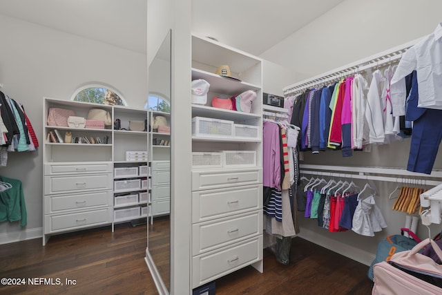 walk in closet featuring dark hardwood / wood-style flooring