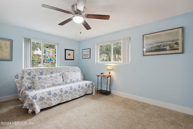 living area with carpet flooring and a wealth of natural light