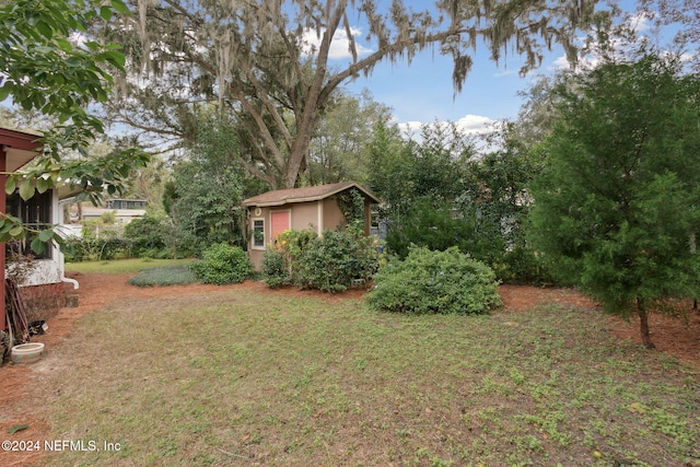 view of yard featuring a storage shed