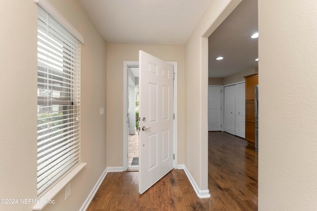 foyer with dark hardwood / wood-style floors and plenty of natural light