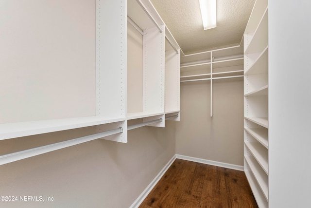 walk in closet featuring dark hardwood / wood-style flooring