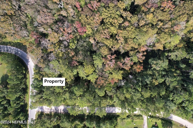 00 Tropic Ave, Satsuma, FL 32189 - photo 1