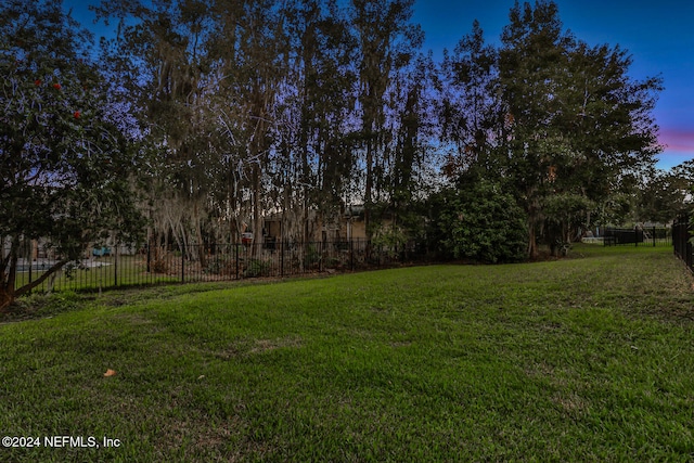 view of yard at dusk