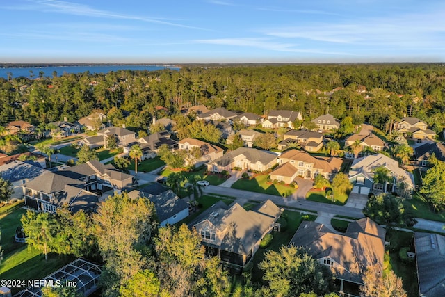 2176 Autumn Cove Cir, Fleming Island, FL 32003 - aerial view of residential area with a heavily wooded area and a large body of water