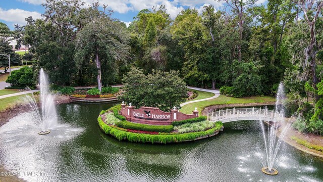 2176 Autumn Cove Cir, Fleming Island, FL 32003 - view of community featuring a water view and view of scattered trees