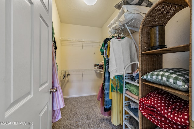 walk in closet with carpet flooring