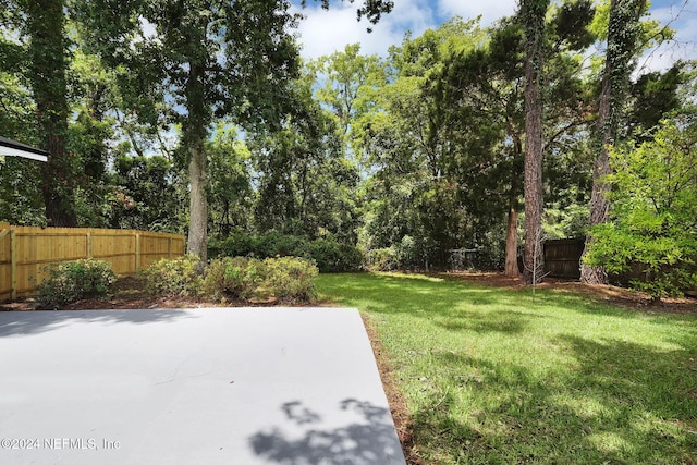 view of yard with a patio