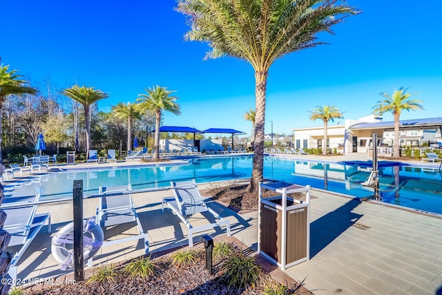 view of pool with a patio area