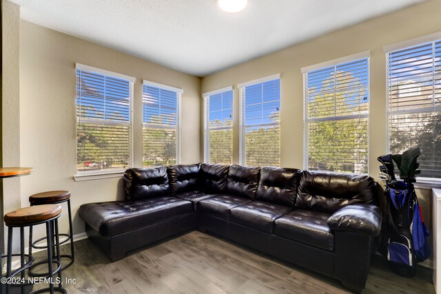 living room featuring a healthy amount of sunlight and wood-type flooring