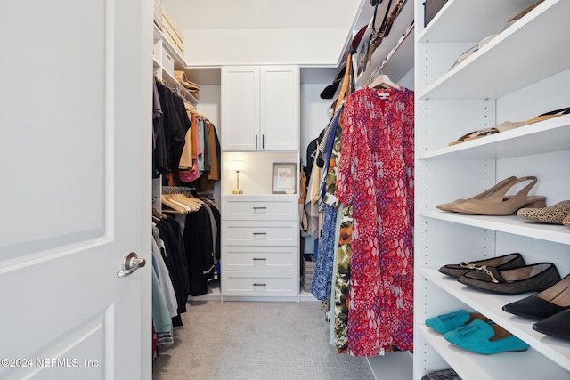 walk in closet with light colored carpet