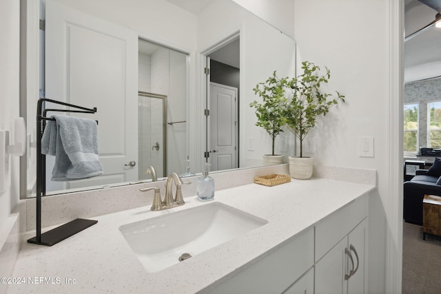 bathroom with vanity and walk in shower