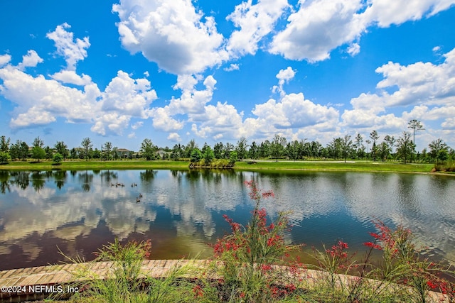 property view of water