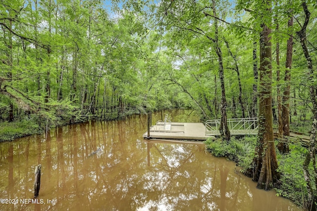 dock area featuring a water view