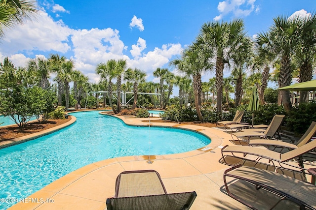 view of pool with a patio area