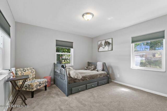 bedroom featuring multiple windows and carpet