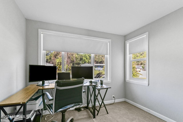 carpeted office space featuring a healthy amount of sunlight