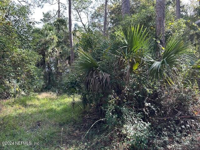 000 Pine St, Welaka FL, 32193 land for sale