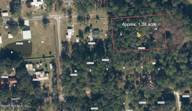 Listing photo 3 for 000 Pine St, Welaka FL 32193