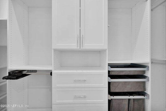 142 Ocean Blvd, Atlantic Beach, FL 32233 - view of walk in closet