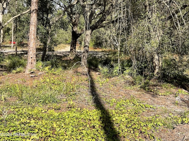 101 New Jersey St, Satsuma, FL 32189 - photo 8