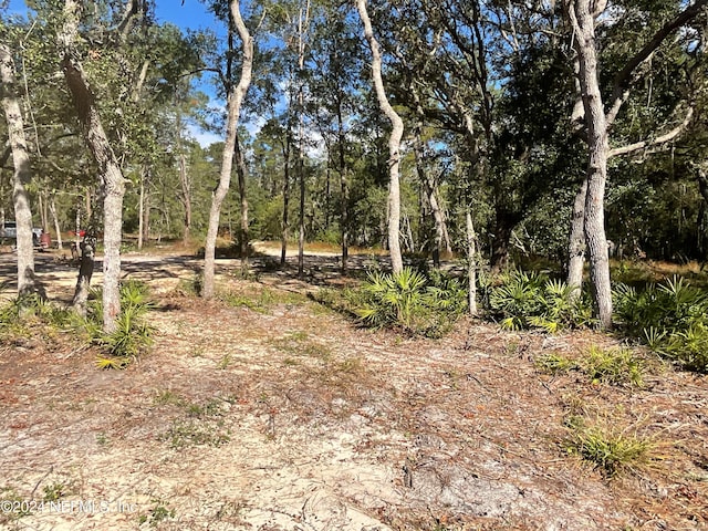 Listing photo 2 for 101 New Jersey St, Satsuma FL 32189