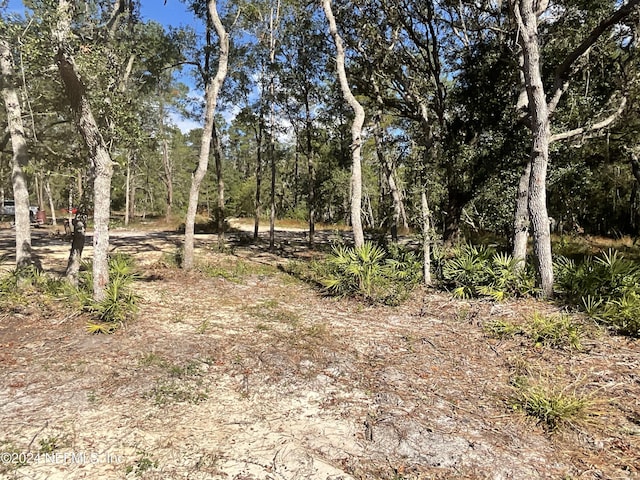 101 New Jersey St, Satsuma, FL 32189 - photo 5