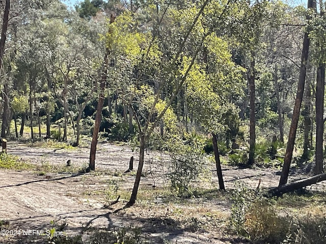 101 New Jersey St, Satsuma, FL 32189 - photo 7