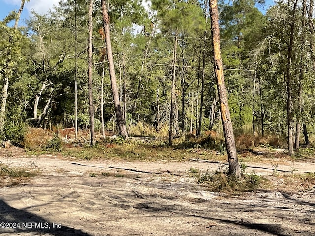 101 New Jersey St, Satsuma, FL 32189 - photo 10