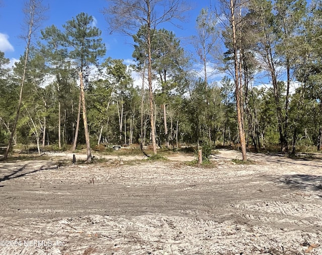 101 New Jersey St, Satsuma, FL 32189 - photo 1