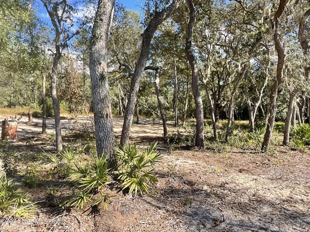 101 New Jersey St, Satsuma, FL 32189 - photo 11