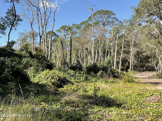 101 New Jersey St, Satsuma, FL 32189 - photo 13