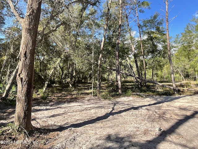 101 New Jersey St, Satsuma, FL 32189 - photo 14