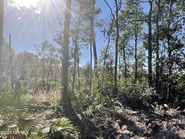 101 New Jersey St, Satsuma, FL 32189 - photo 15
