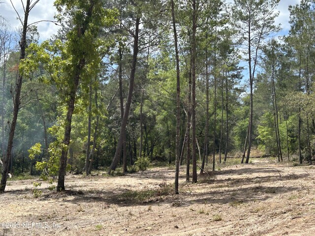 101 New Jersey St, Satsuma, FL 32189