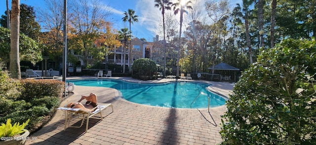 view of pool with a patio