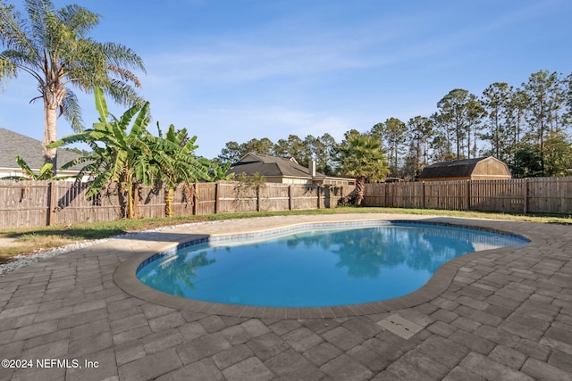 view of swimming pool featuring a patio