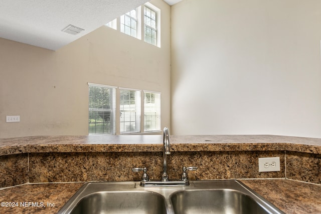 details with a textured ceiling and sink