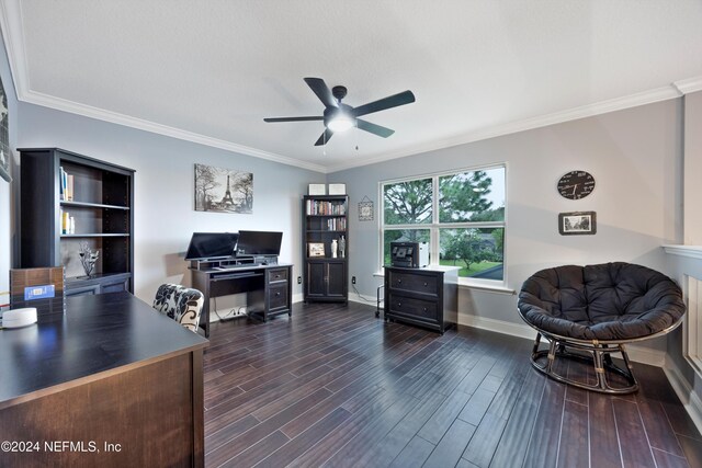 office space with ceiling fan, dark hardwood / wood-style flooring, and crown molding