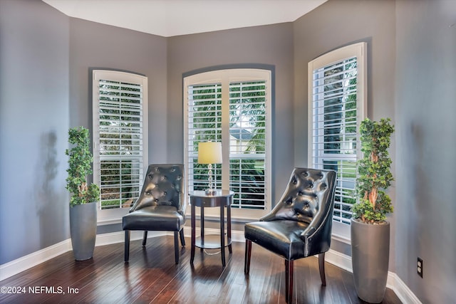 living area featuring dark wood-type flooring